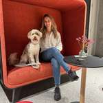 Ersteller:in Sarah Profilbild