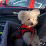 Ersteller:in Brigitte Profilbild