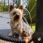 Ersteller:in Benjamin Profilbild