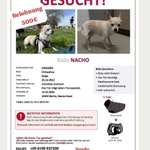 Suchmeldung-Nacho-Bild