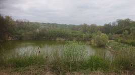 Hundeauslaufgebiet-Steinbruch (weiler zum stein)-Bild