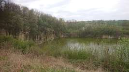 Hundeauslaufgebiet-Steinbruch (weiler zum stein)-Bild