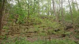 Hundeauslaufgebiet-Steinbruch (weiler zum stein)-Bild