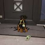 Ersteller:in Bianca Profilbild