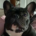 Ersteller:in Manolya Profilbild