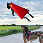 Ersteller:in Michelle Profilbild