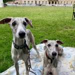 Ersteller:in Tina Profilbild