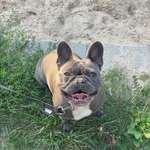 Ersteller:in Ilayda Profilbild