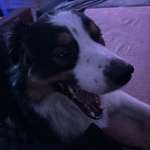 Ersteller:in Alexandra Profilbild