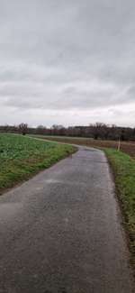 Hundeauslaufgebiet-Warteberg-Bild