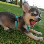 Ersteller:in Ulrike Profilbild