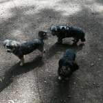 Ersteller:in Ina Profilbild