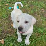 Ersteller:in Tyson❤🥰😍🥰😍 Profilbild