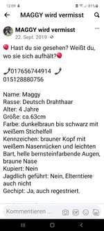 Suchmeldung-Maggy-Bild