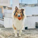 Ersteller:in Keanu und Profilbild