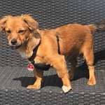 Ersteller:in Tanja Profilbild