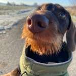 Ersteller:in Vanessa Profilbild