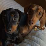 Ersteller:in Hannah Profilbild