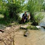 Ersteller:in anna Profilbild