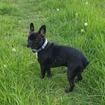 Ersteller:in Kari Profilbild