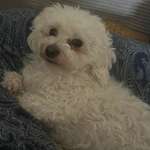 Ersteller:in Lisa & Rocky Profilbild