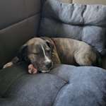 Ersteller:in Justin Profilbild