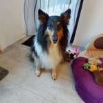 Ersteller:in Susanne Profilbild