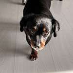 Ersteller:in Sabine Profilbild