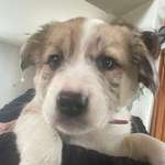 Ersteller:in Silke Profilbild