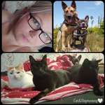 Ersteller:in Nina Profilbild