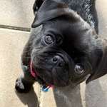 Ersteller:in Sandra Profilbild