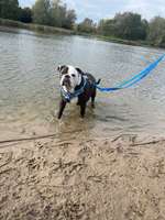 Hundeauslaufgebiet-Seenpark III-Bild