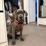 Ersteller:in Michelle Profilbild