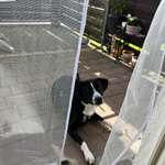 Ersteller:in Silvia Profilbild