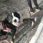 Ersteller:in Celine Profilbild