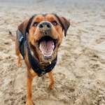 Ersteller:in Lexi Profilbild