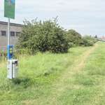 Hundeauslaufgebiet-Hundeauslaufwiese direkt an der Straße-Bild