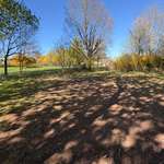 Hundeauslaufgebiet-Freilauffläche für Hunde-Bild