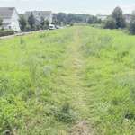 Hundeauslaufgebiet-Hundeauslaufwiese direkt an der Straße-Bild