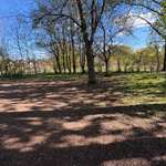 Hundeauslaufgebiet-Freilauffläche für Hunde-Bild