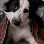 Ersteller:in Petra Profilbild