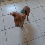 Ersteller:in K Profilbild