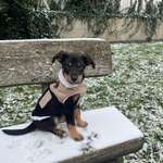 Ersteller:in İpek Profilbild