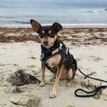 Ersteller:in Sarah Profilbild