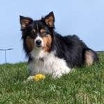 Ersteller:in Laura Profilbild