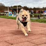 Ersteller:in Celina Profilbild