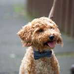 Ersteller:in Julia Profilbild