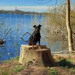 Ersteller:in Sibylle Profilbild