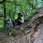 Ersteller:in Frederic Profilbild