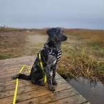 Ersteller:in Kim Profilbild